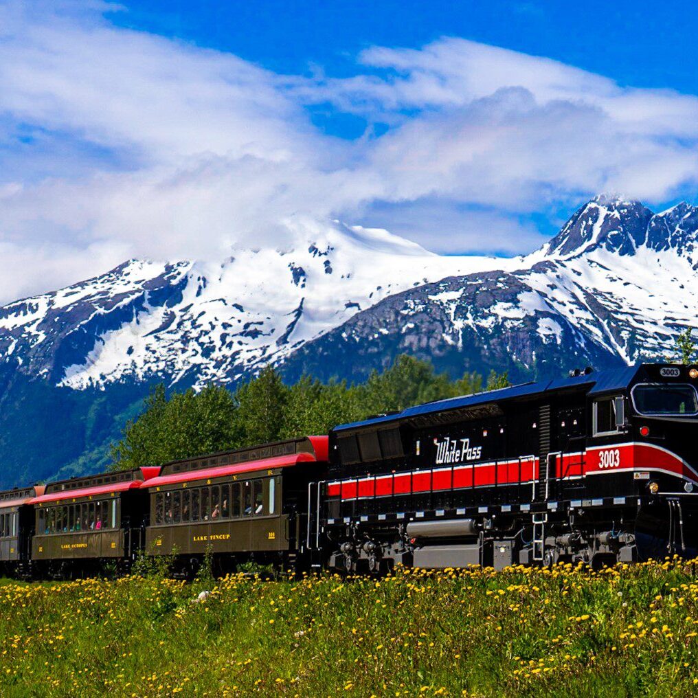 A black and red train travels through green fields with snowy mountains in the background.